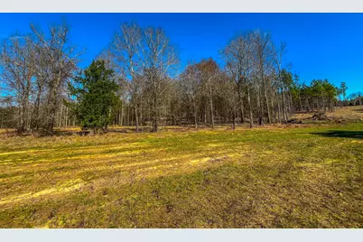 Tract 3 County Road 1713, Jacksonville, TX 75766 - Photo 1