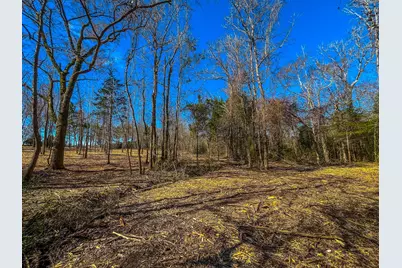 Tract 3 County Road 1713, Jacksonville, TX 75766 - Photo 3