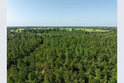 Tract 3 County Road 1713, Jacksonville, TX 75766 - Photo 5