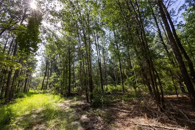 Tract 3 County Road 1713, Jacksonville, TX 75766 - Photo 11