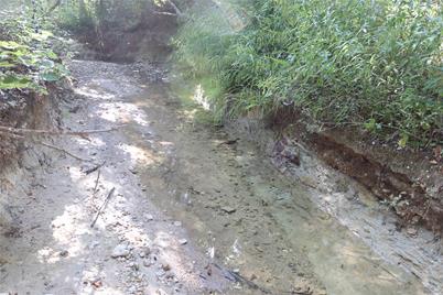 136+/- Acres Rock Quarry, Saint Jo, TX 76265 - Photo 17