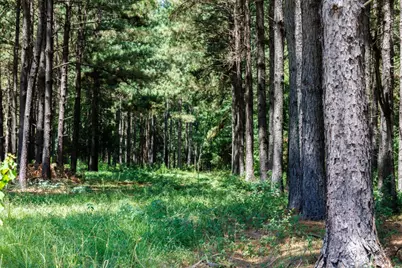 Tbd Hwy 84, Timpson, TX 75975 - Photo 33