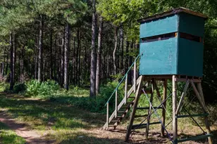 Tbd Hwy 84, Timpson, TX 75975 - Photo 23