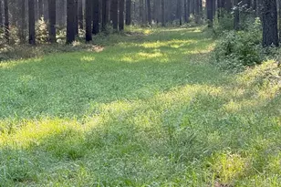 Tbd Hwy 84, Timpson, TX 75975 - Photo 9