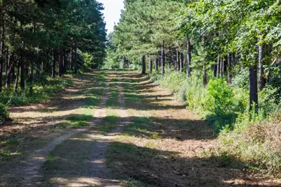 Tbd Hwy 84, Timpson, TX 75975 - Photo 25