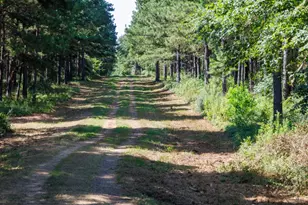 Tbd Hwy 84, Timpson, TX 75975 - Photo 25