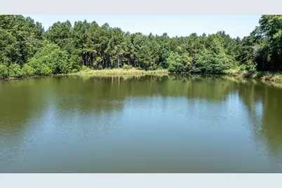 Tbd Hwy 84, Timpson, TX 75975 - Photo 1