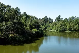 Tbd Hwy 84, Timpson, TX 75975 - Photo 3