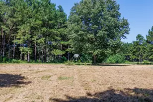 Tbd Hwy 84, Timpson, TX 75975 - Photo 31