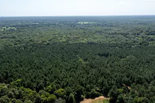 Tbd Hwy 84, Timpson, TX 75975 - Photo 5