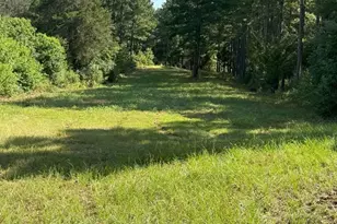 Tbd Hwy 84, Timpson, TX 75975 - Photo 17