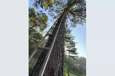 Tbd Hwy 84, Timpson, TX 75975 - Photo 15