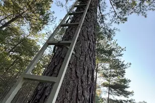 Tbd Hwy 84, Timpson, TX 75975 - Photo 15