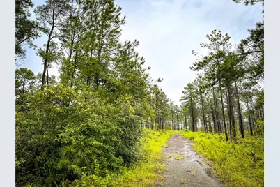4 Cr 257, Jasper, TX 75951 - Photo 1