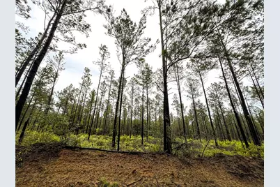 4 Cr 257, Jasper, TX 75951 - Photo 11