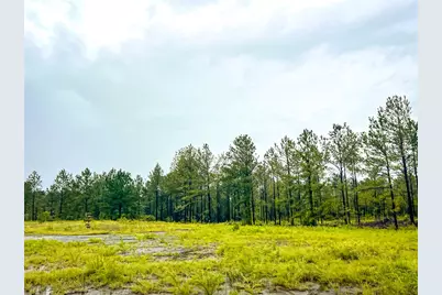 4 Cr 257, Jasper, TX 75951 - Photo 7