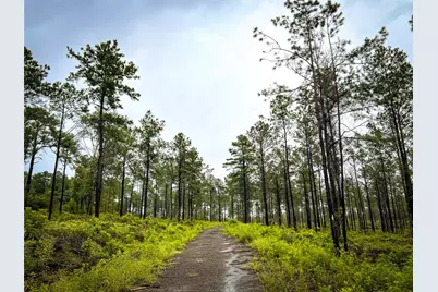 5 Cr 257, Jasper, TX 75951 - Photo 5