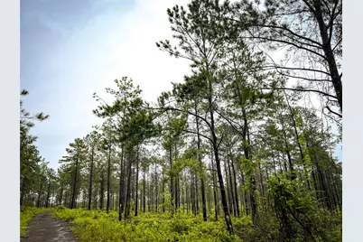 5 Cr 257, Jasper, TX 75951 - Photo 3