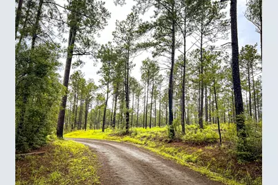 5 Cr 257, Jasper, TX 75951 - Photo 15