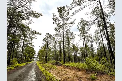 5 Cr 257, Jasper, TX 75951 - Photo 13