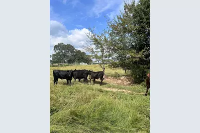 200 Vz Cr 2422, Mabank, TX 75147 - Photo 7
