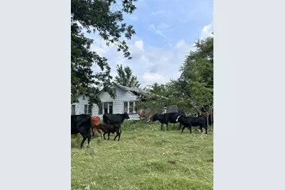 200 Vz Cr 2422, Mabank, TX 75147 - Photo 15