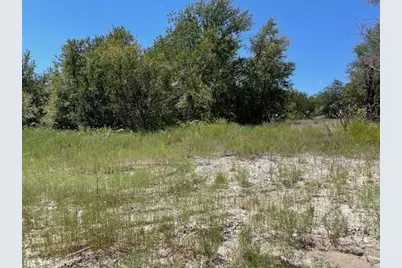 109 Grant Alan Court, Weatherford, TX 76085 - Photo 3