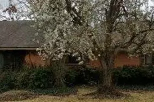 5208 Caladium Dr, Dallas, TX 75229 - Photo 1