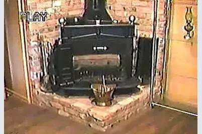 5208 Caladium Drive, Dallas, TX 75229 - Photo 7