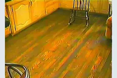 5208 Caladium Drive, Dallas, TX 75229 - Photo 9