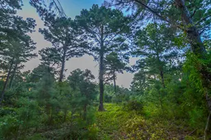 Tract 2 Hwy 155, Frankston, TX 75763 - Photo 7