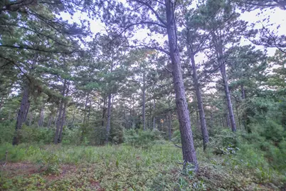 Tract 2 Hwy 155, Frankston, TX 75763 - Photo 9