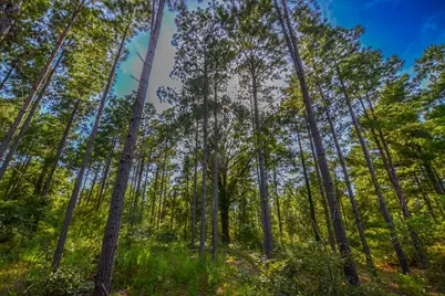 Tract 2 Hwy 155, Frankston, TX 75763 - Photo 17