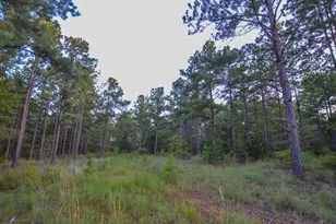 Tract 2 Hwy 155, Frankston, TX 75763 - Photo 11