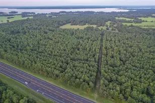 Tract 3 Hwy 155, Frankston, TX 75763 - Photo 7