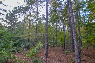 Tract 3 Hwy 155, Frankston, TX 75763 - Photo 23