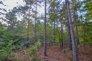 Tract 3 Hwy 155, Frankston, TX 75763 - Photo 23