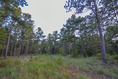 Tract 3 Hwy 155, Frankston, TX 75763 - Photo 11