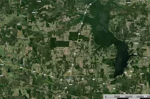 Tract 3 Hwy 155, Frankston, TX 75763 - Photo 27