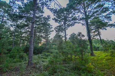 Tract 3 Hwy 155, Frankston, TX 75763 - Photo 15