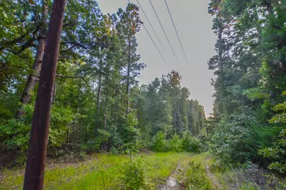 Tract 3 Hwy 155, Frankston, TX 75763 - Photo 9