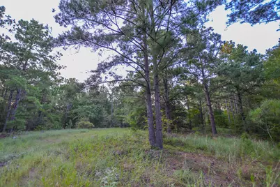 Tract 3 Hwy 155, Frankston, TX 75763 - Photo 13