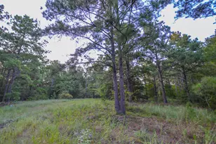 Tract 3 Hwy 155, Frankston, TX 75763 - Photo 13