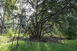 Tract 5 Hwy 155, Frankston, TX 75763 - Photo 9