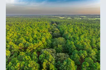 Tract 5 Hwy 155, Frankston, TX 75763 - Photo 23