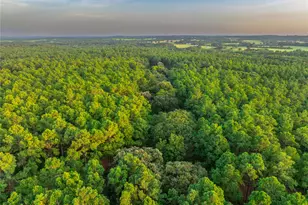 Tract 5 Hwy 155, Frankston, TX 75763 - Photo 23