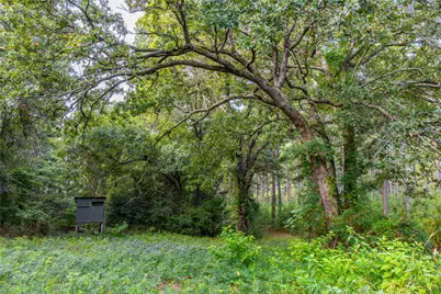 Tract 5 Hwy 155, Frankston, TX 75763 - Photo 21