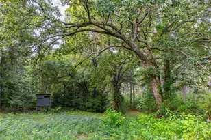 Tract 5 Hwy 155, Frankston, TX 75763 - Photo 21