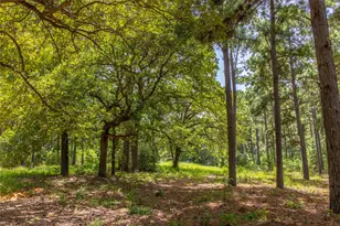 Tract 5 Hwy 155, Frankston, TX 75763 - Photo 11