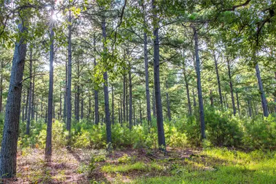 Tract 5 Hwy 155, Frankston, TX 75763 - Photo 19